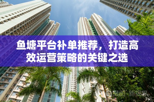 鱼塘平台补单推荐，打造高效运营策略的关键之选