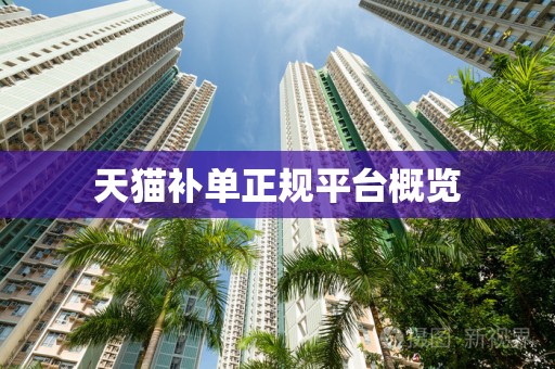 天猫补单正规平台概览