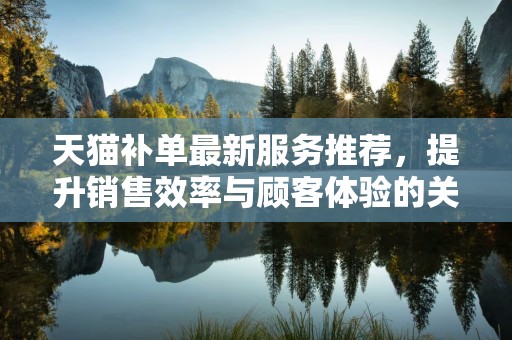 天猫补单最新服务推荐，提升销售效率与顾客体验的关键策略