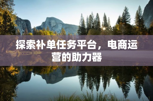 探索补单任务平台，电商运营的助力器