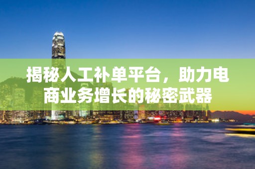揭秘人工补单平台，助力电商业务增长的秘密武器