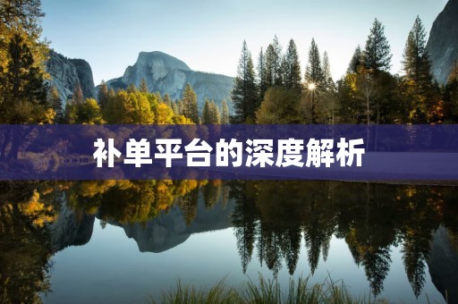 补单平台的深度解析