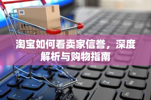 淘宝如何看卖家信誉，深度解析与购物指南