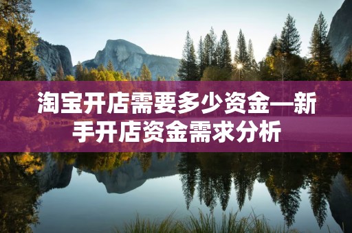 淘宝开店需要多少资金—新手开店资金需求分析