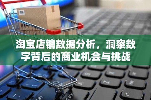 淘宝店铺数据分析，洞察数字背后的商业机会与挑战