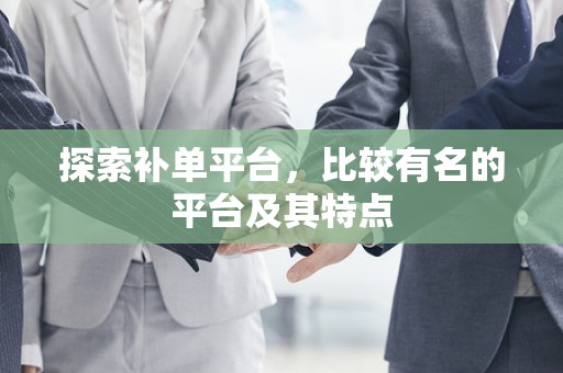 探索补单平台，比较有名的平台及其特点
