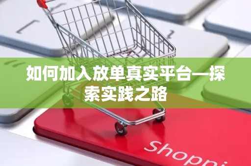 如何加入放单真实平台—探索实践之路