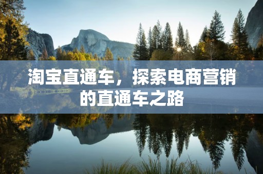 淘宝直通车，探索电商营销的直通车之路