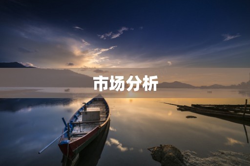市场分析
