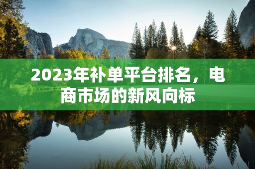 2023年补单平台排名，电商市场的新风向标