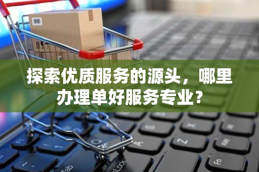 探索优质服务的源头，哪里办理单好服务专业？