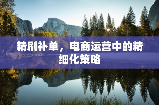 精刷补单，电商运营中的精细化策略
