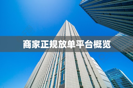 商家正规放单平台概览