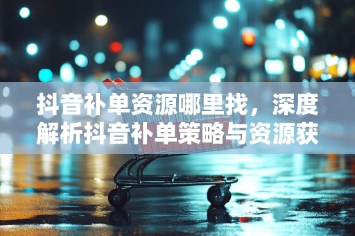 抖音补单资源哪里找，深度解析抖音补单策略与资源获取途径
