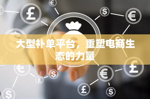 大型补单平台，重塑电商生态的力量