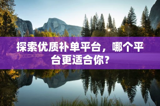 探索优质补单平台，哪个平台更适合你？