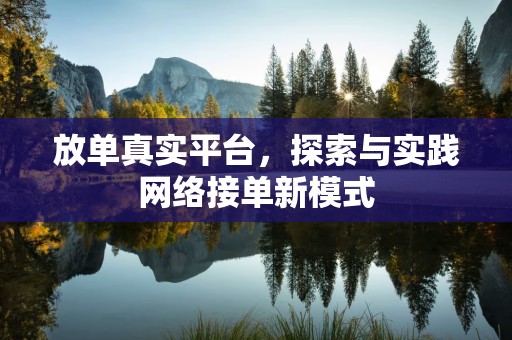 放单真实平台，探索与实践网络接单新模式