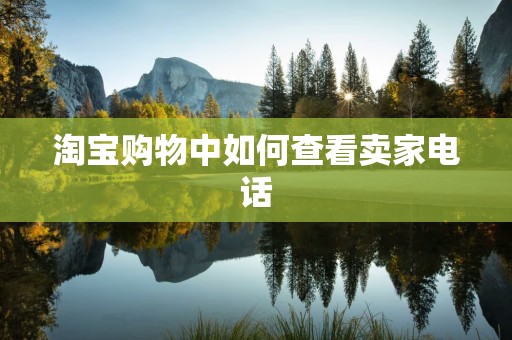 淘宝购物中如何查看卖家电话