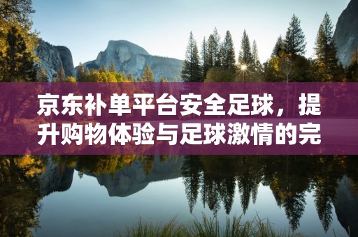 京东补单平台安全足球，提升购物体验与足球激情的完美结合