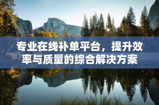 专业在线补单平台，提升效率与质量的综合解决方案