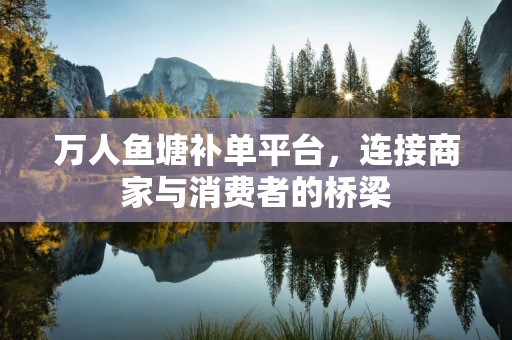 万人鱼塘补单平台，连接商家与消费者的桥梁