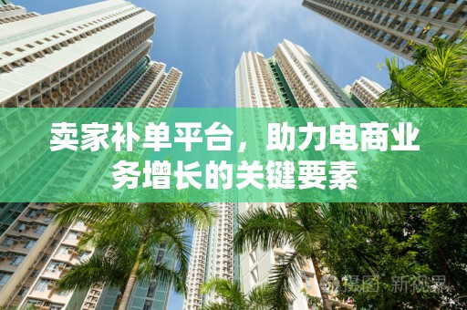 卖家补单平台，助力电商业务增长的关键要素