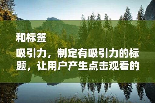 和标签
吸引力，制定有吸引力的标题，让用户产生点击观看的欲望