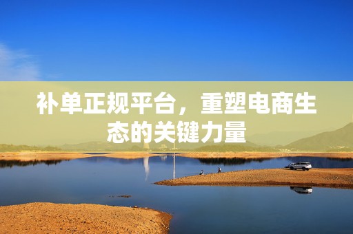 补单正规平台，重塑电商生态的关键力量
