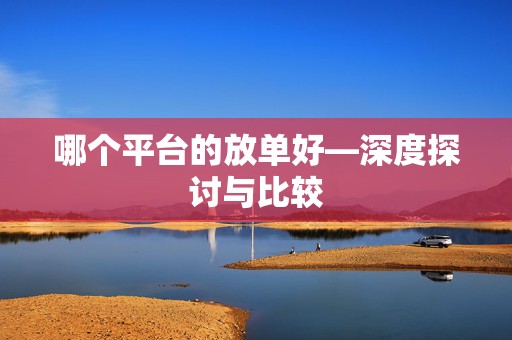 哪个平台的放单好—深度探讨与比较