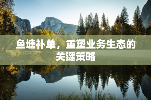 鱼塘补单，重塑业务生态的关键策略
