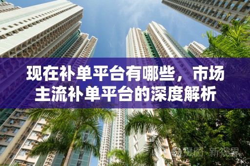 现在补单平台有哪些，市场主流补单平台的深度解析