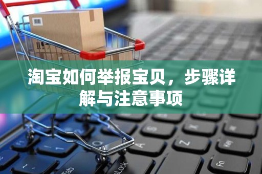 淘宝如何举报宝贝，步骤详解与注意事项