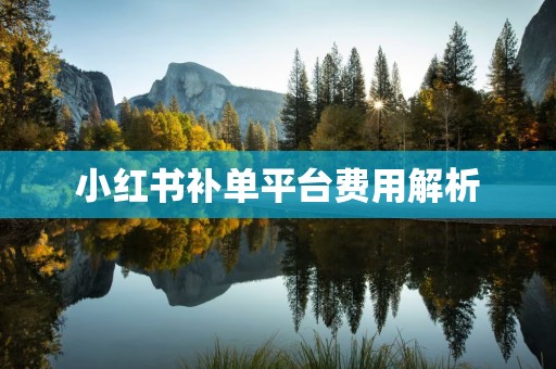 小红书补单平台费用解析
