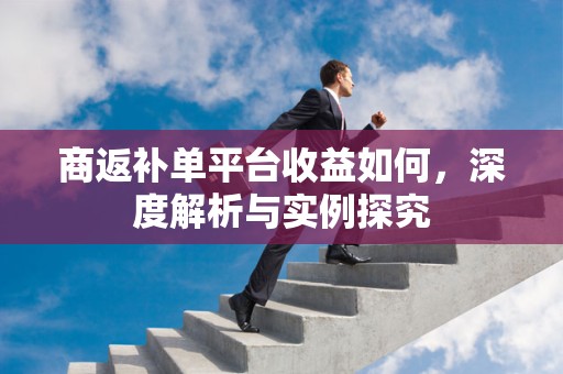 商返补单平台收益如何，深度解析与实例探究