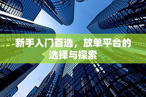 新手入门首选，放单平台的选择与探索
