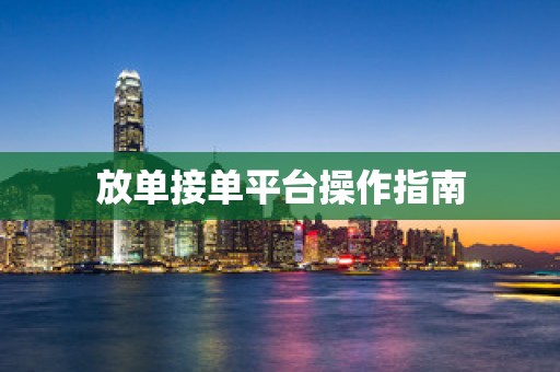 放单接单平台操作指南