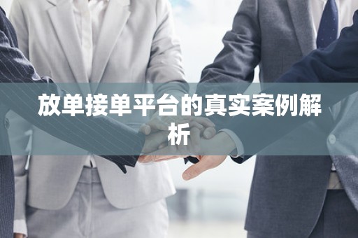 放单接单平台的真实案例解析