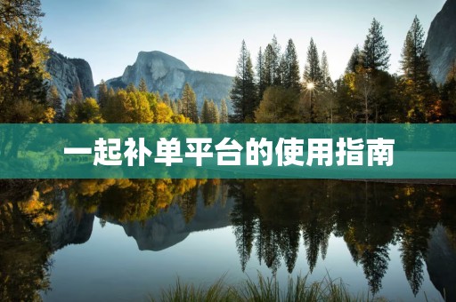 一起补单平台的使用指南