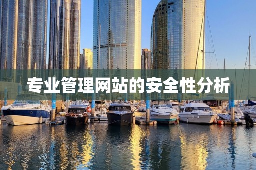 专业管理网站的安全性分析