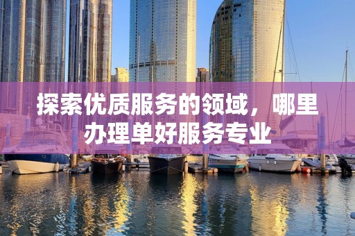 探索优质服务的领域，哪里办理单好服务专业
