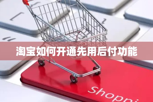 淘宝如何开通先用后付功能