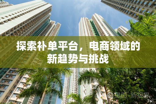 探索补单平台，电商领域的新趋势与挑战