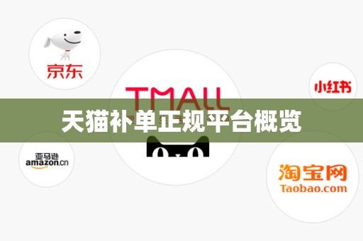 天猫补单正规平台概览