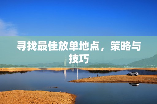 寻找最佳放单地点，策略与技巧