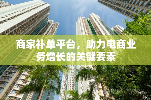 商家补单平台，助力电商业务增长的关键要素