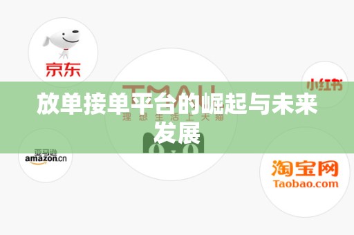 放单接单平台的崛起与未来发展
