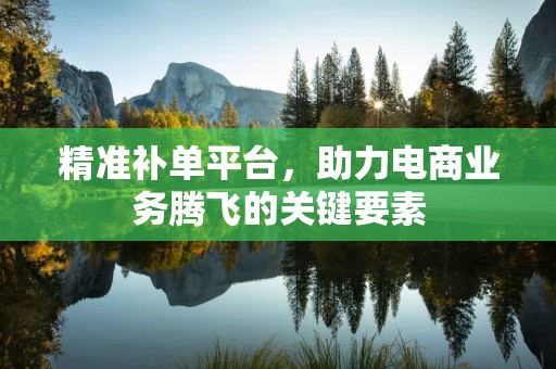 精准补单平台，助力电商业务腾飞的关键要素