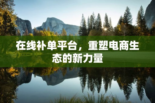 在线补单平台，重塑电商生态的新力量