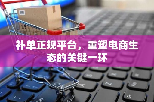 补单正规平台，重塑电商生态的关键一环