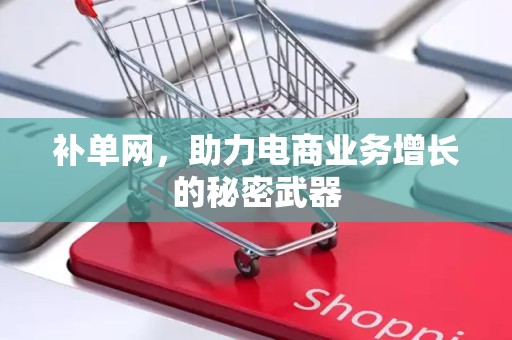 补单网，助力电商业务增长的秘密武器